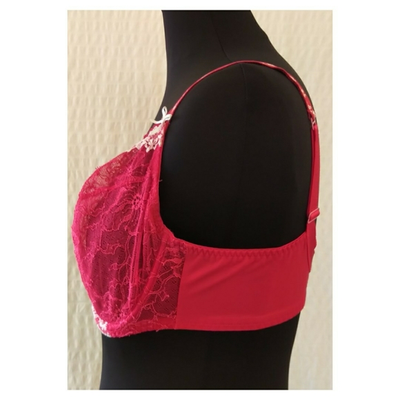 Elixir Floral Mesh Bra - Picture 3 of 4